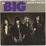 mr big